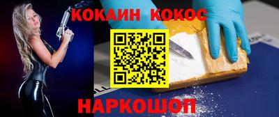 гашик Камышлов