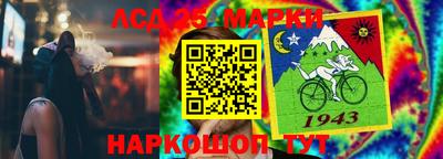 крисы Кандалакша
