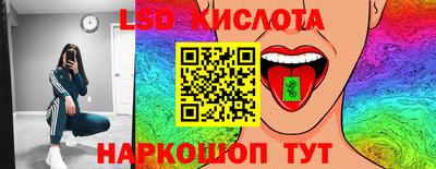гашик Камышлов