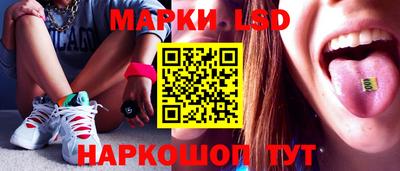 гашик Камышлов