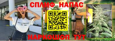 крисы Кандалакша