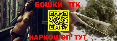 гашик Камышлов