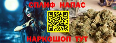 гашик Камышлов