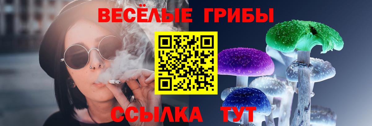 Балтийск  Галлюциногенные грибы Psilocybine cubensis  Вход с VPN 