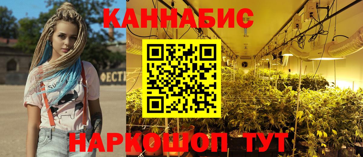 Канабис план Балтийск